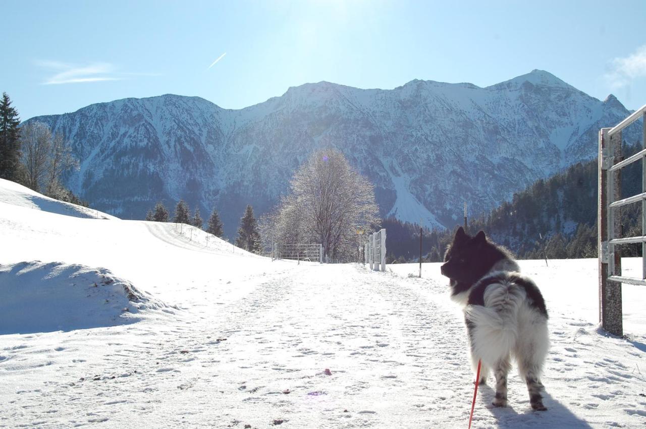 Ferienhaus Alpenglueck Gaicht Kültér fotó